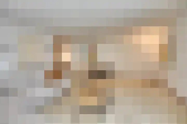 Symphoniesingel 100 C Maastricht thumbnail 10