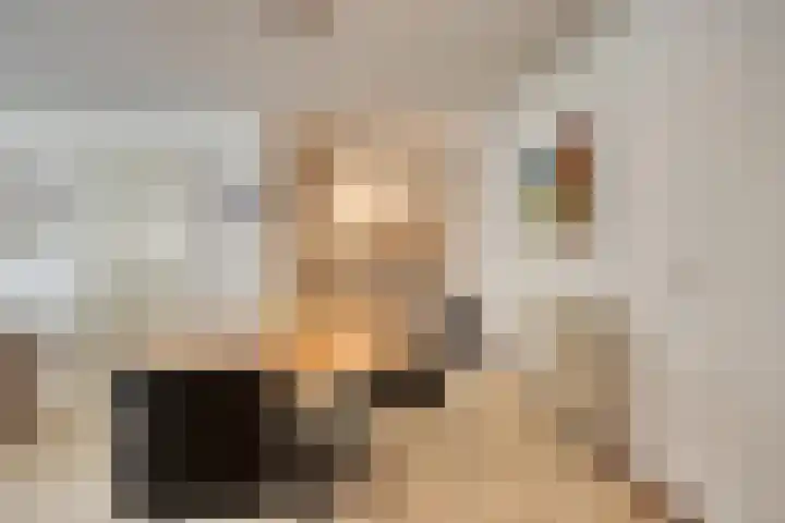 Symphoniesingel 100 C Maastricht thumbnail 11