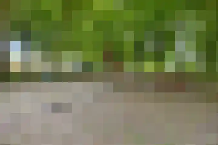 Symphoniesingel 100 C Maastricht thumbnail 28