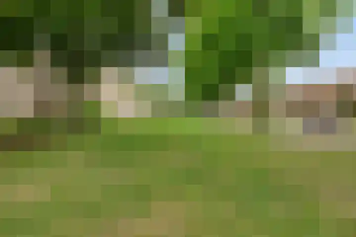 Symphoniesingel 100 C Maastricht thumbnail 29