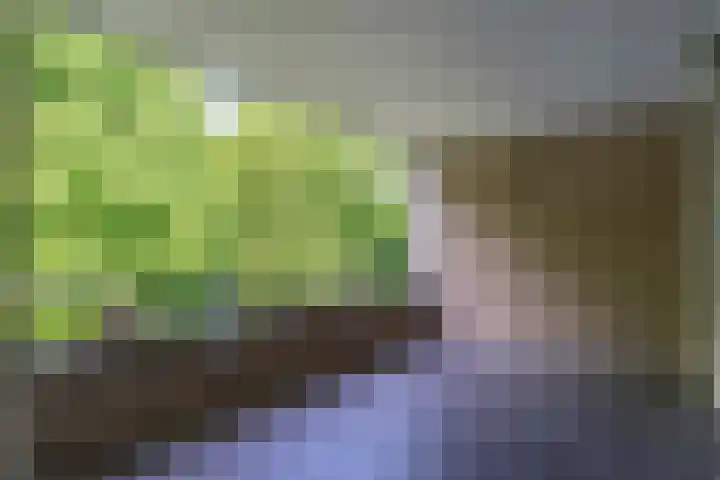 Symphoniesingel 112 C Maastricht thumbnail 12