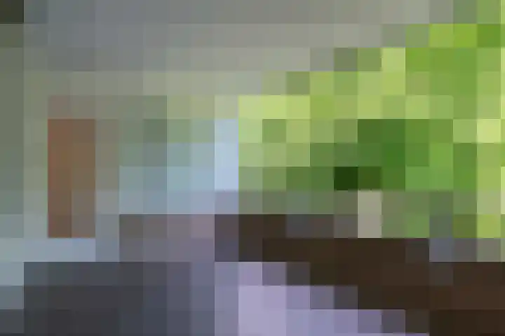 Symphoniesingel 112 C Maastricht thumbnail 13