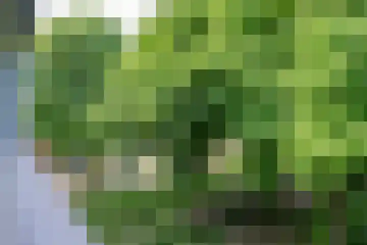 Symphoniesingel 112 C Maastricht thumbnail 14