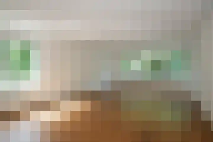 Symphoniesingel 112 C Maastricht thumbnail 8