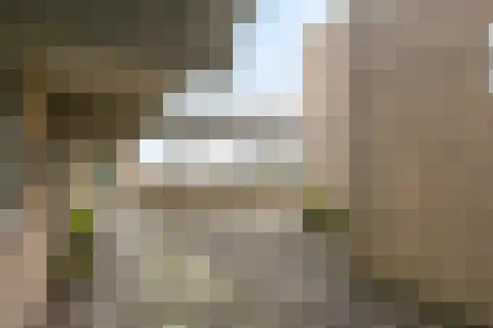 Synagogeplein 12 Leek thumbnail 19