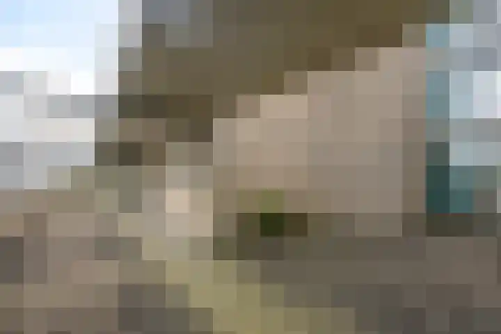 Synagogeplein 12 Leek thumbnail 20