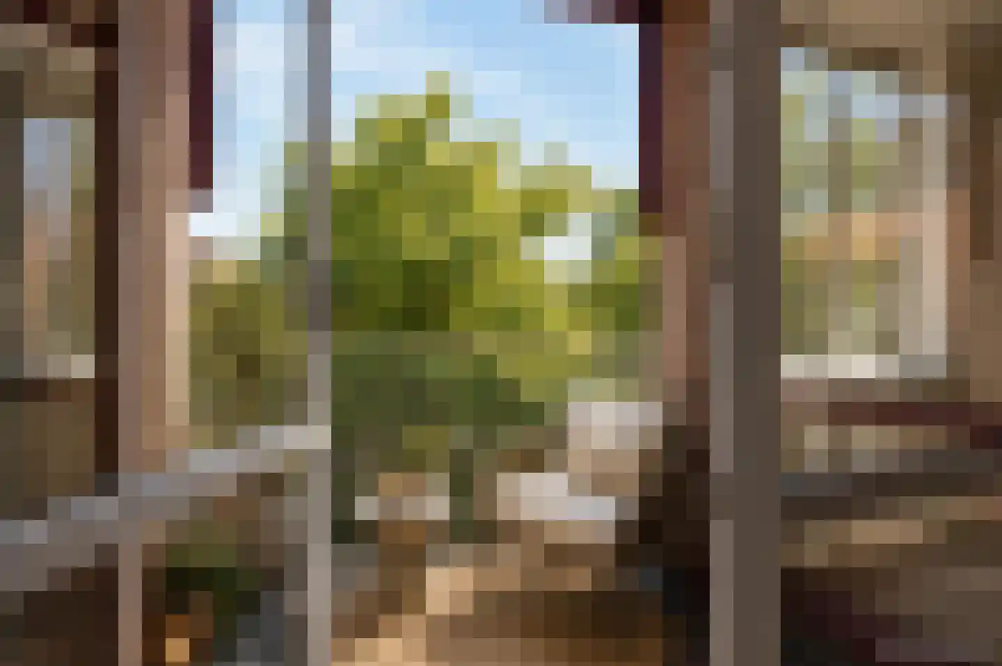 Synagogestraat 15 Meppel thumbnail 11