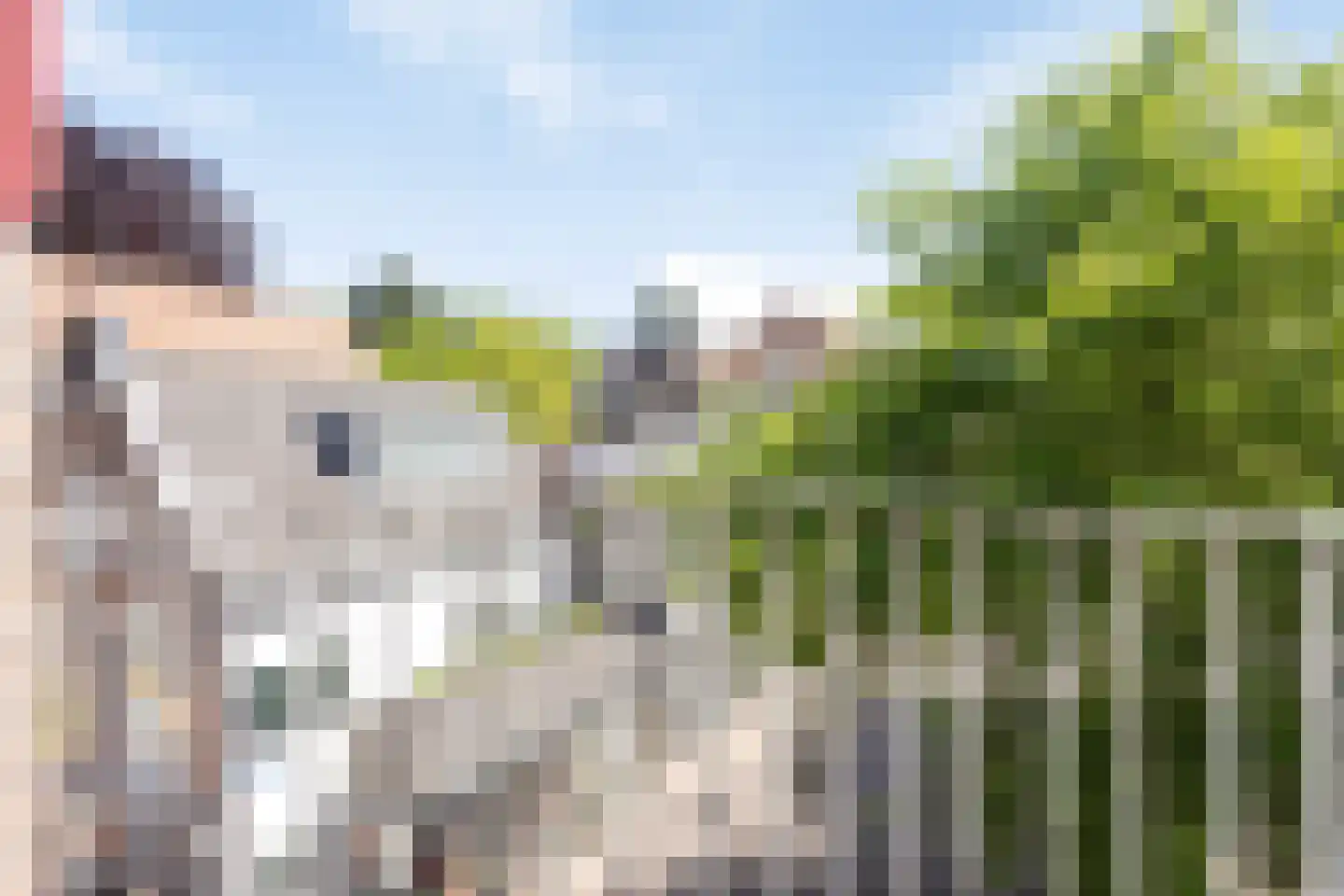 Synagogestraat 15 Meppel thumbnail 26