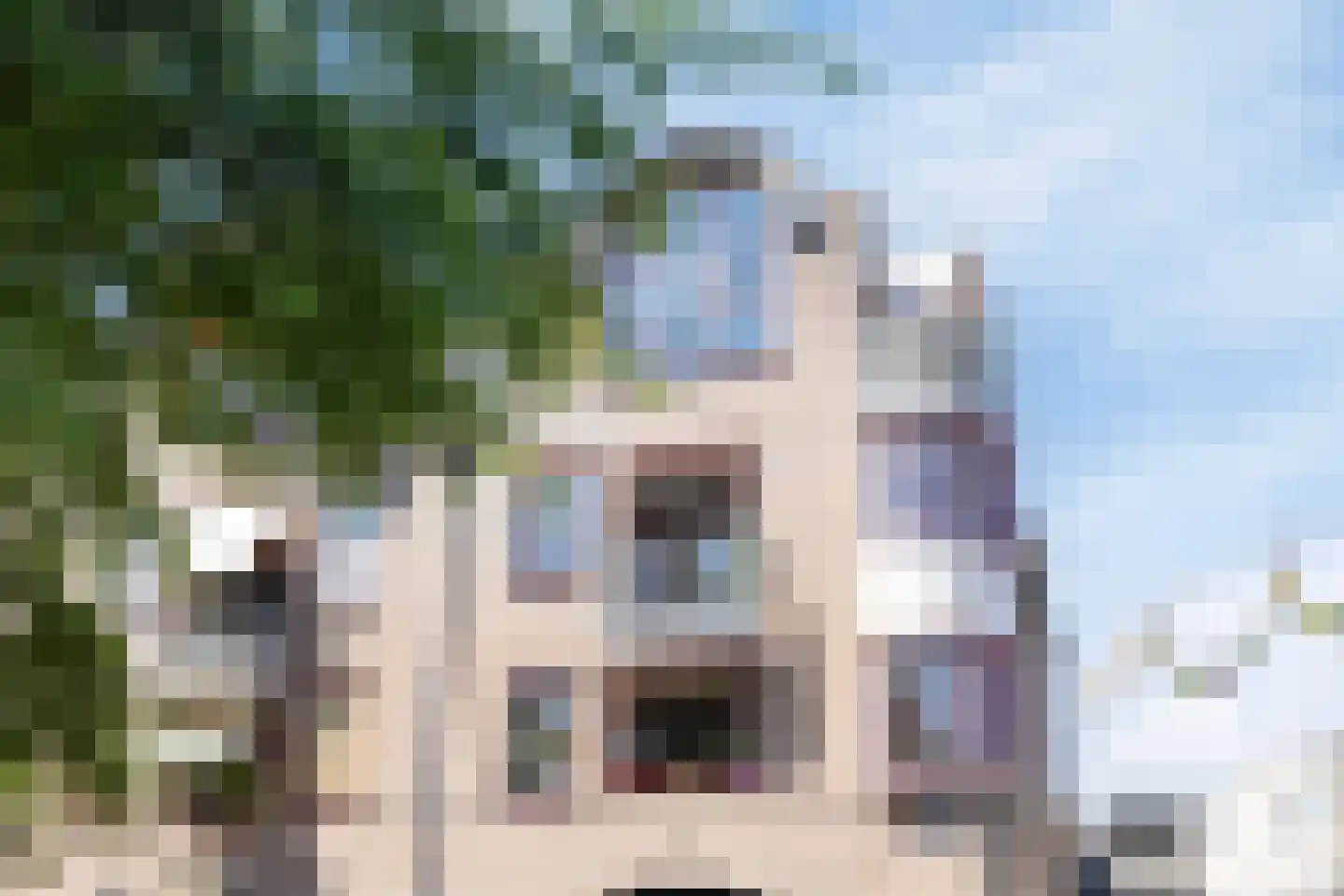 Synagogestraat 15 Meppel thumbnail 6
