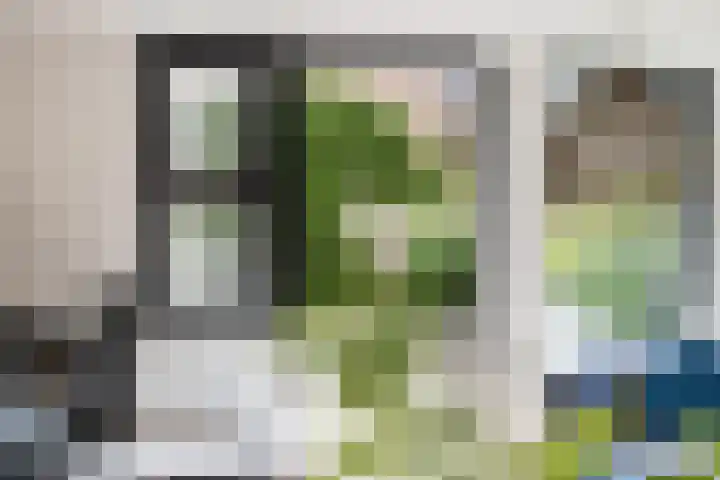 Synagogestraat 4 Heusden thumbnail 21