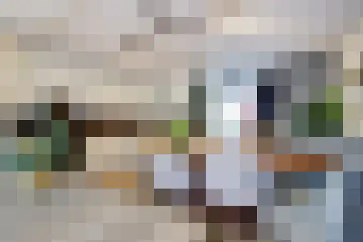 Sypestein 2 Zwijndrecht thumbnail 14