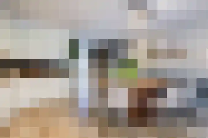 Sypestein 2 Zwijndrecht thumbnail 16