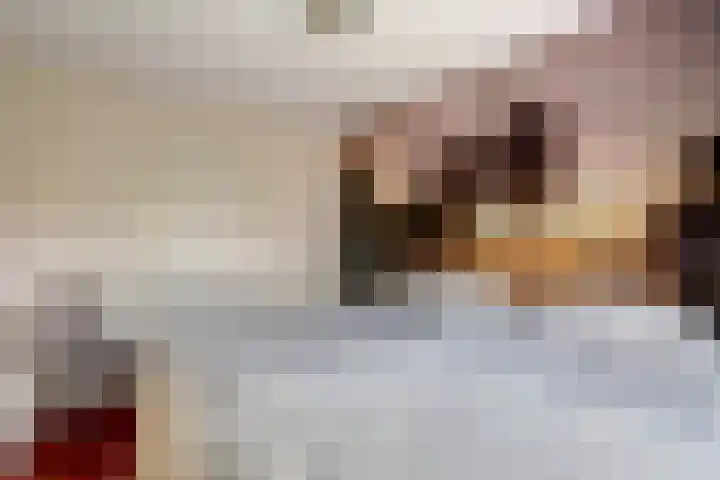 Sypestein 2 Zwijndrecht thumbnail 21