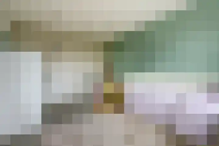 Sypestein 2 Zwijndrecht thumbnail 22