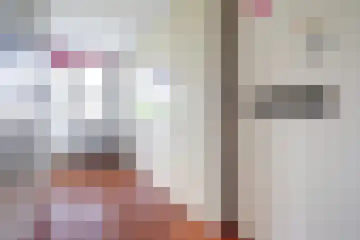 Sypestein 2 Zwijndrecht thumbnail 29