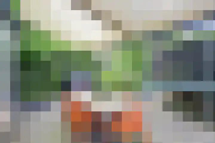 Sypestein 2 Zwijndrecht thumbnail 39