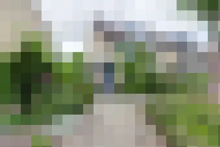 Sypestein 2 Zwijndrecht thumbnail 4
