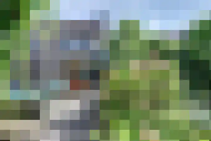 Sypestein 2 Zwijndrecht thumbnail 41