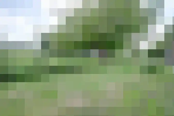 Sypestein 2 Zwijndrecht thumbnail 43