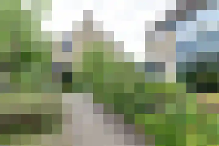 Sypestein 2 Zwijndrecht thumbnail 5