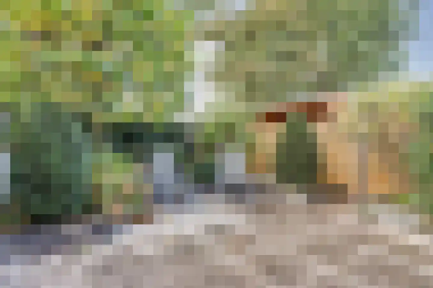 Sypesteyn 134 Almelo thumbnail 29