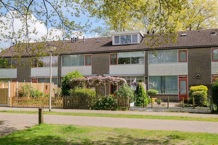 Sypesteyn 150 in Almelo Foto