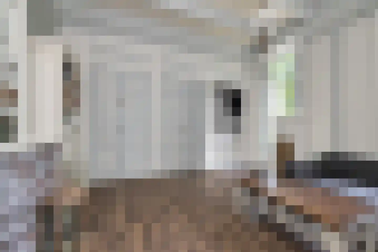 Sythuzen 4 Haskerdijken thumbnail 15