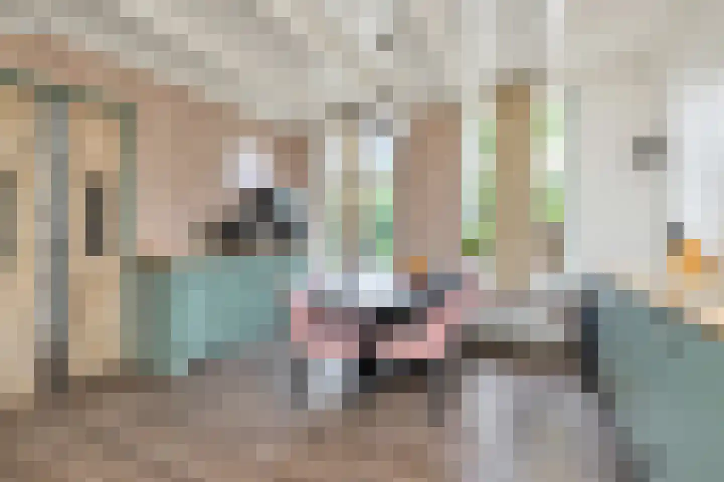 Sythuzen 4 Haskerdijken thumbnail 18