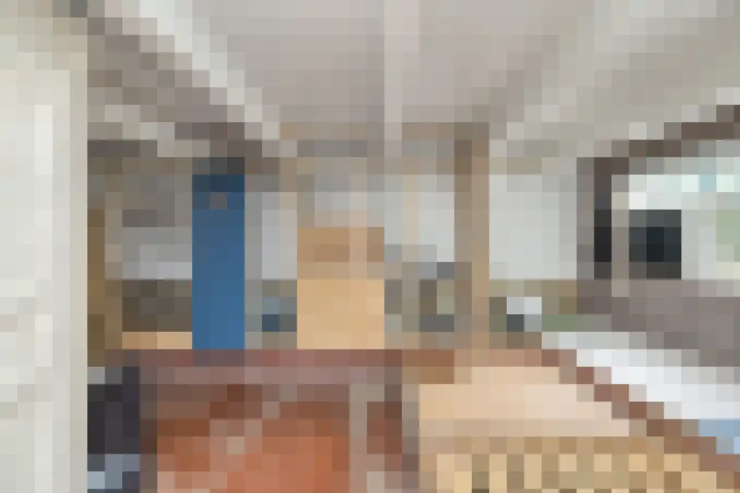 Sythuzen 4 Haskerdijken thumbnail 31