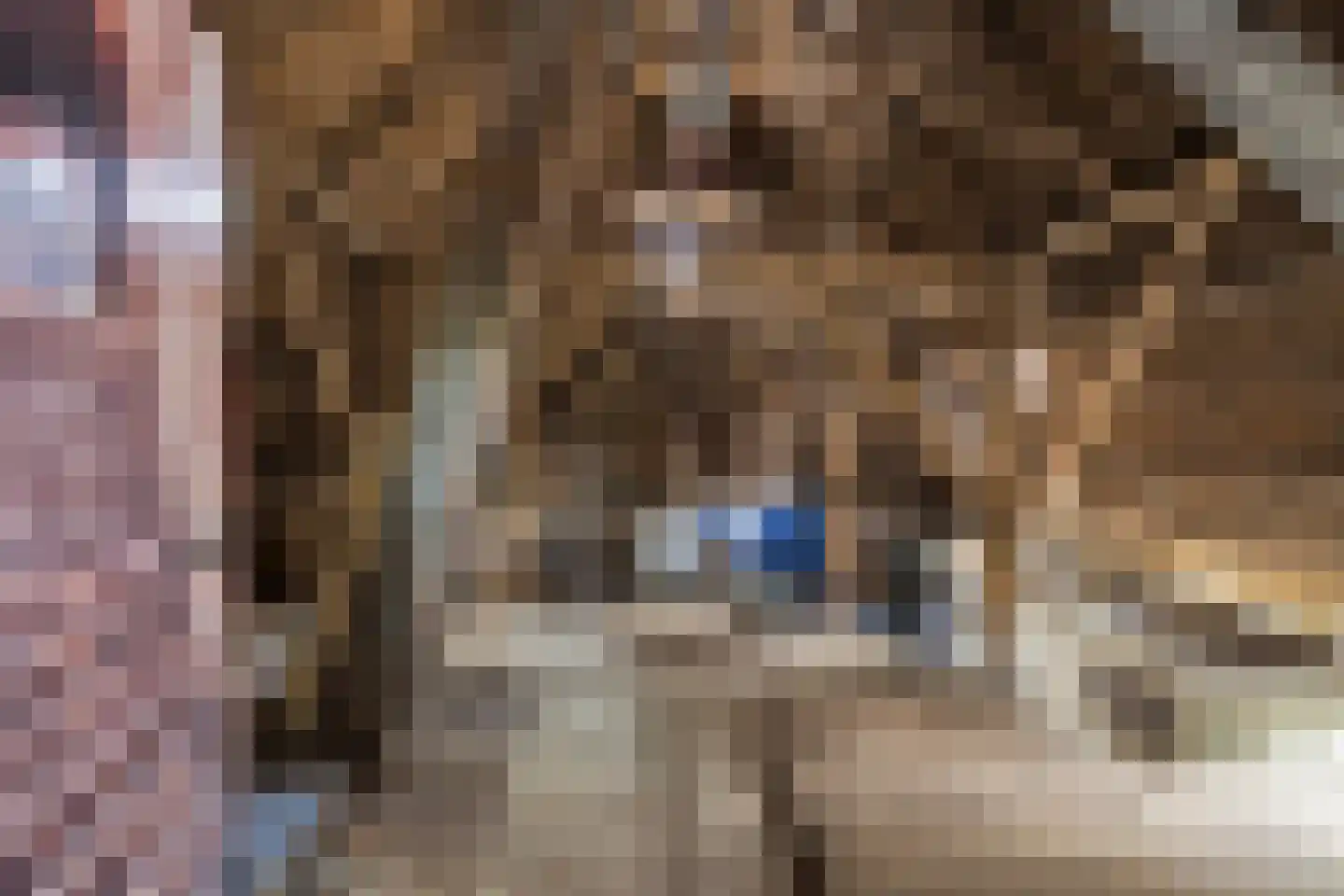 Sythuzen 4 Haskerdijken thumbnail 34