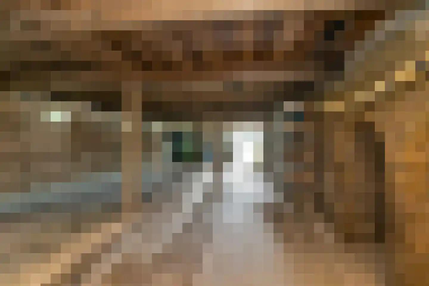 Sythuzen 4 Haskerdijken thumbnail 35