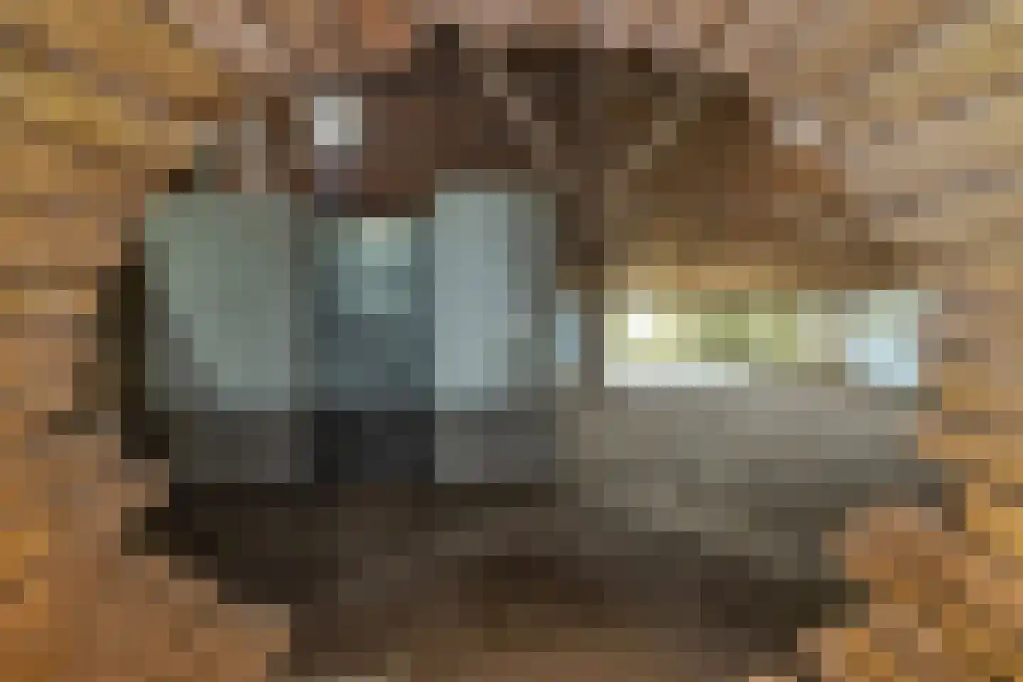 Sythuzen 4 Haskerdijken thumbnail 36