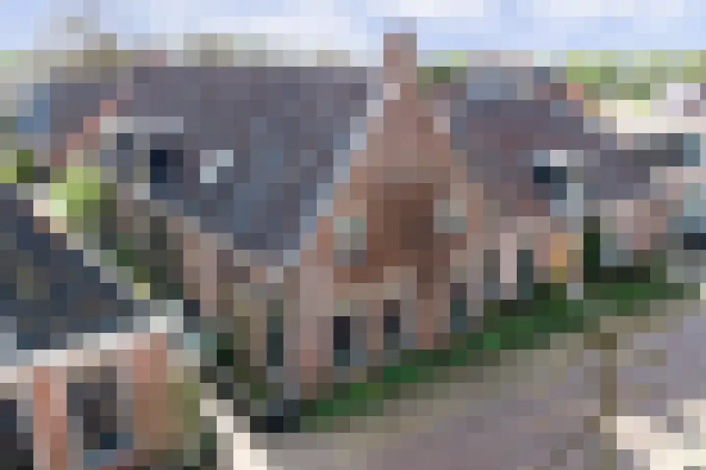 Sytse Klases Steech 1 en Ie