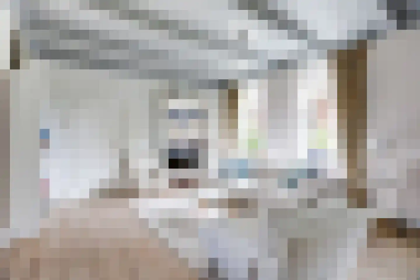 Sytse Klases Steech 1 Ie thumbnail 15