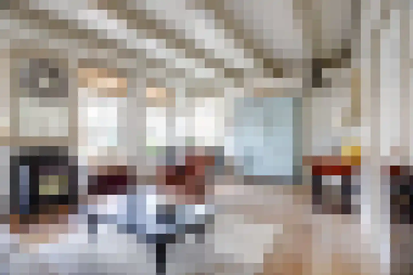 Sytse Klases Steech 1 Ie thumbnail 19