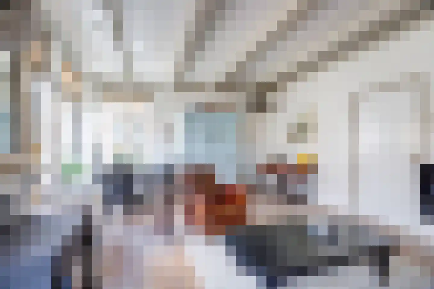 Sytse Klases Steech 1 Ie thumbnail 20