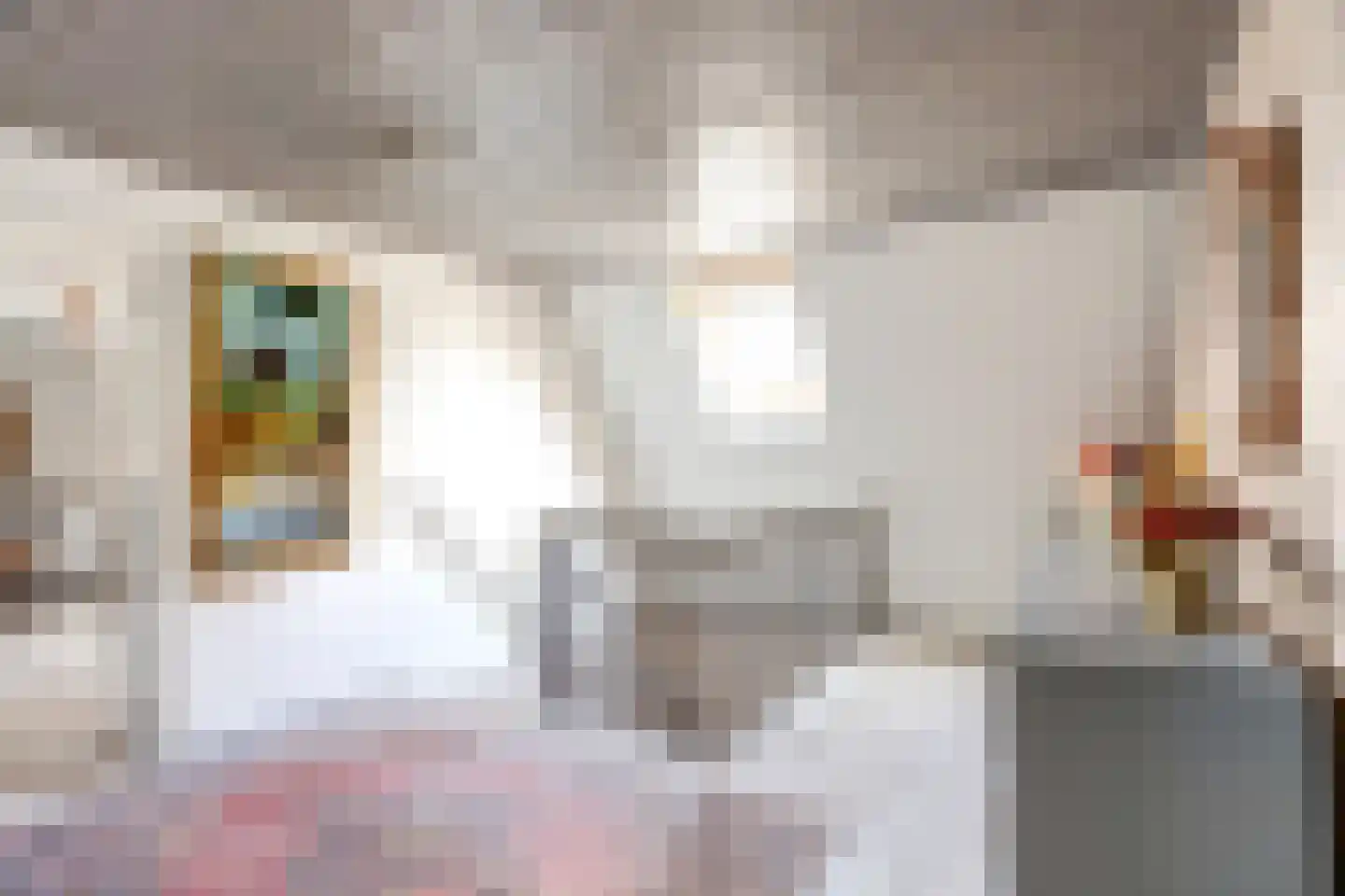 Sytse Klases Steech 1 Ie thumbnail 24