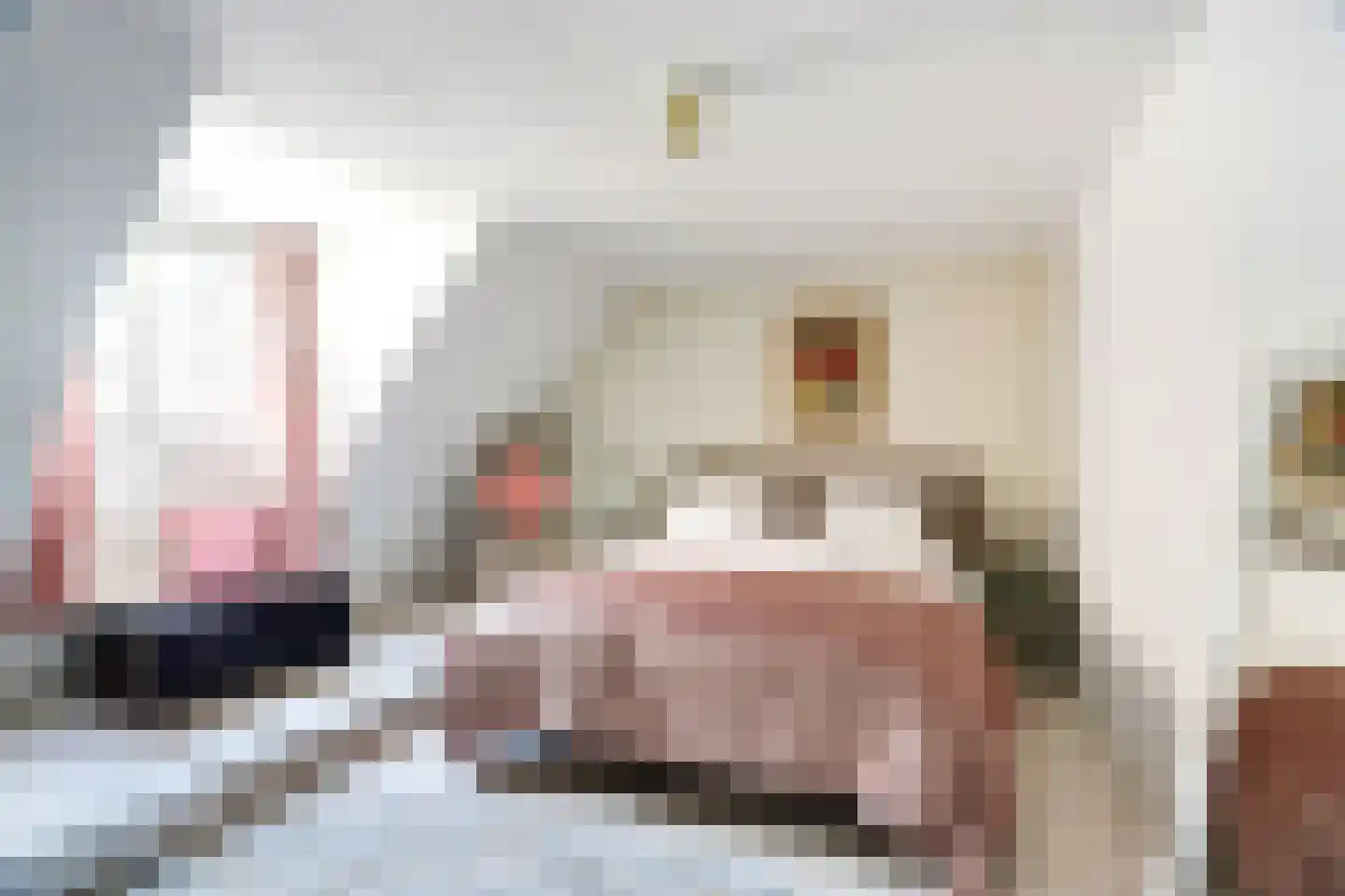 Sytse Klases Steech 1 Ie thumbnail 27