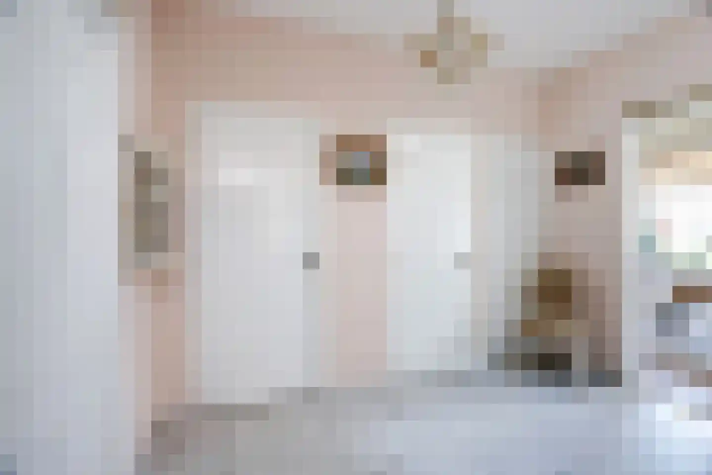 Sytse Klases Steech 1 Ie thumbnail 29