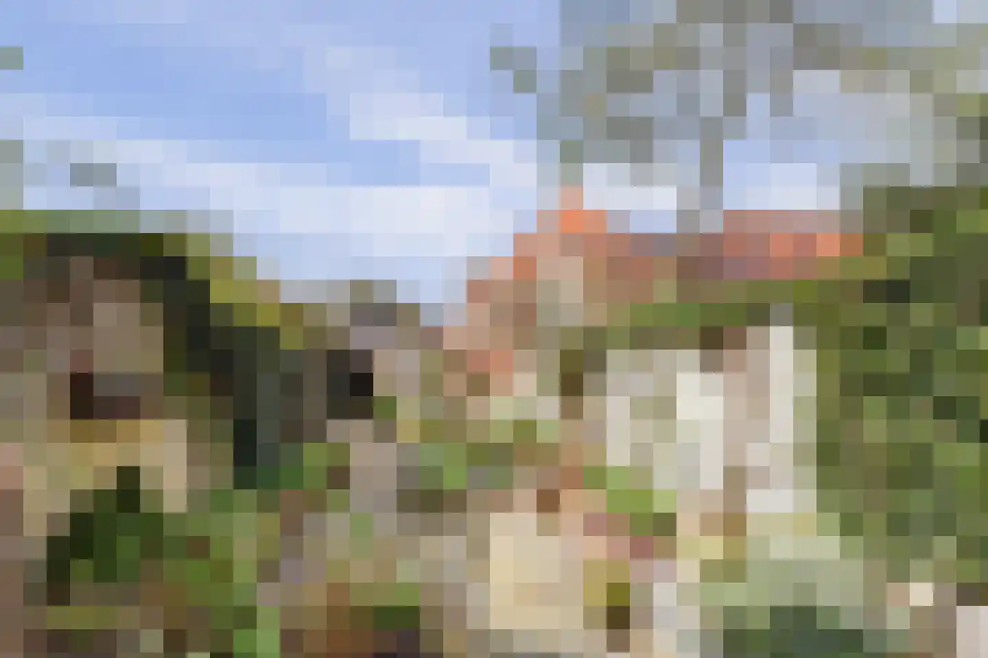 Sytse Klases Steech 1 Ie thumbnail 38