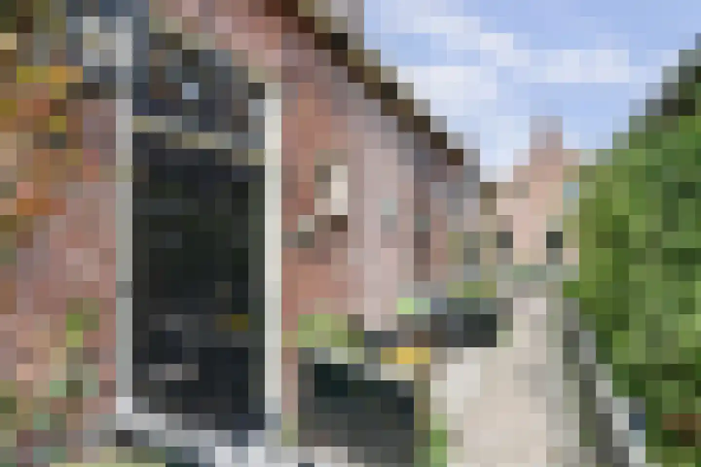 Sytse Klases Steech 1 Ie thumbnail 42