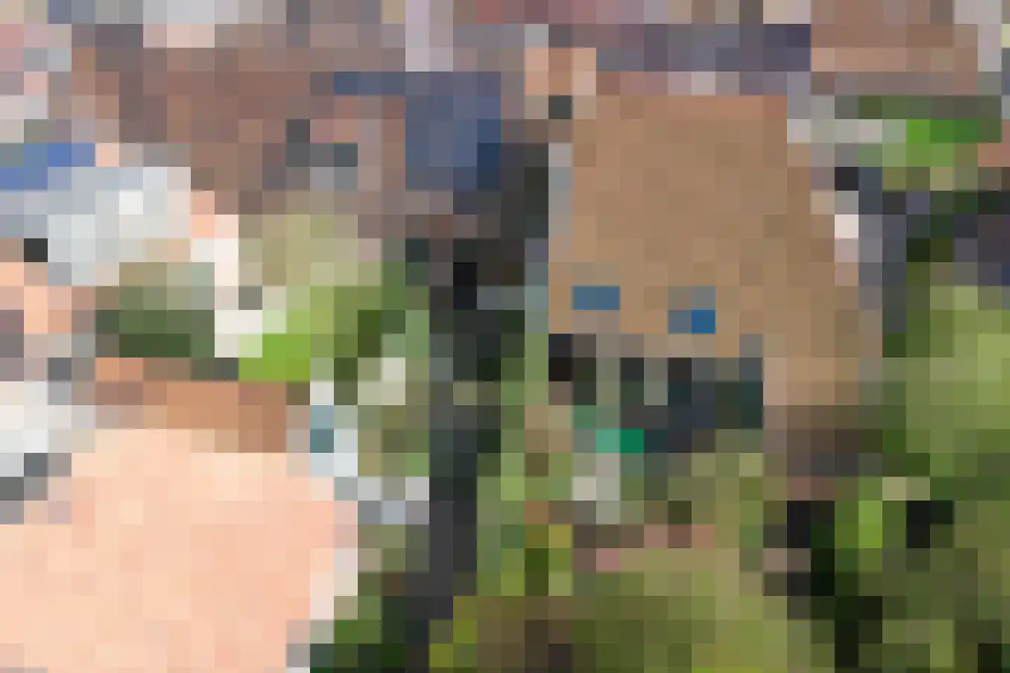 Sytse Klases Steech 1 Ie thumbnail 46