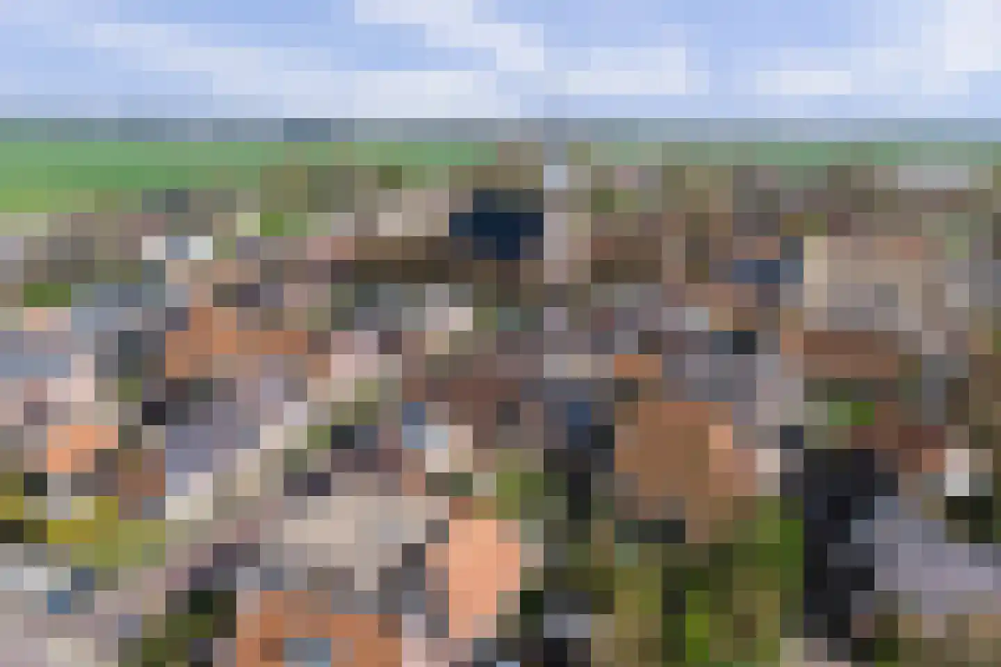 Sytse Klases Steech 1 Ie thumbnail 48