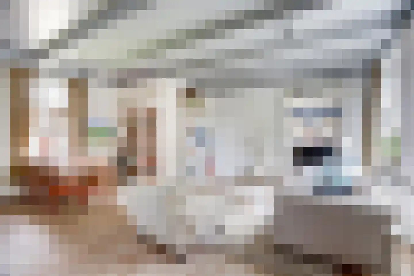 Sytse Klases Steech 1 Ie thumbnail 5