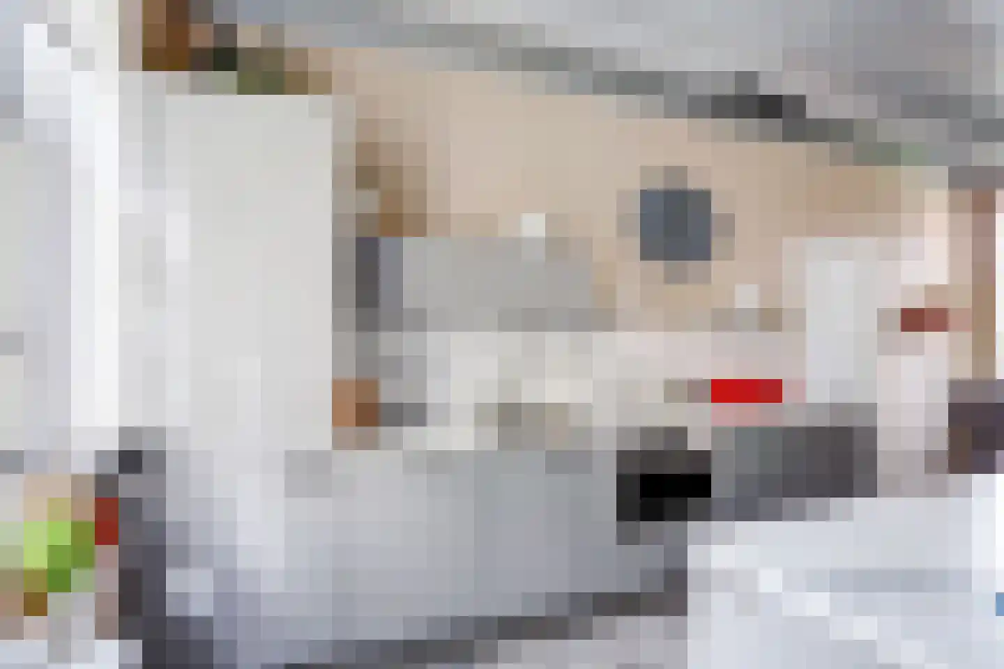Sytse Klases Steech 1 Ie thumbnail 6