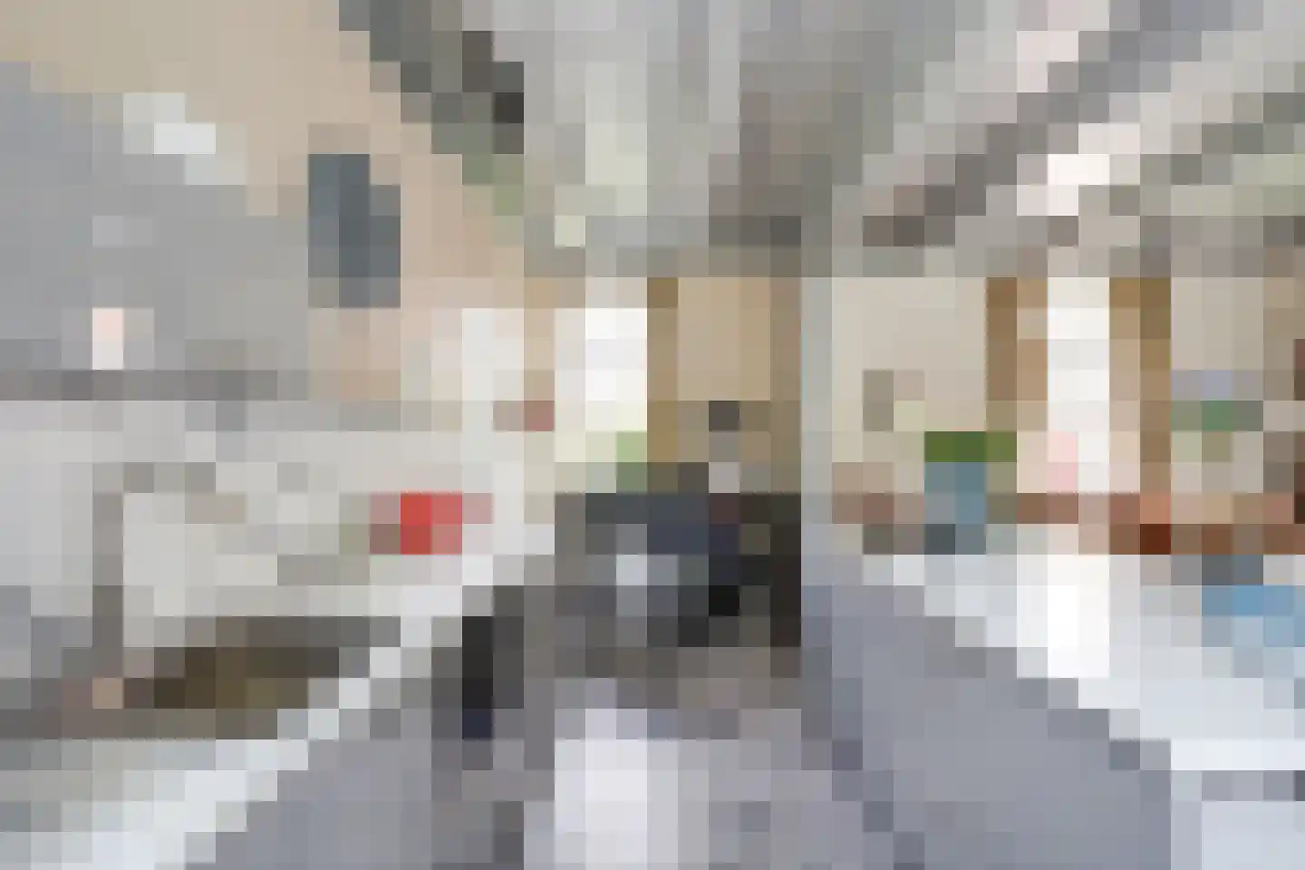 Sytse Klases Steech 1 Ie thumbnail 8