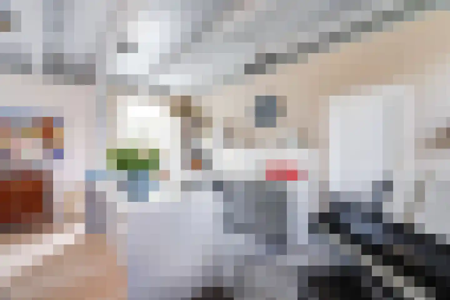 Sytse Klases Steech 1 Ie thumbnail 9