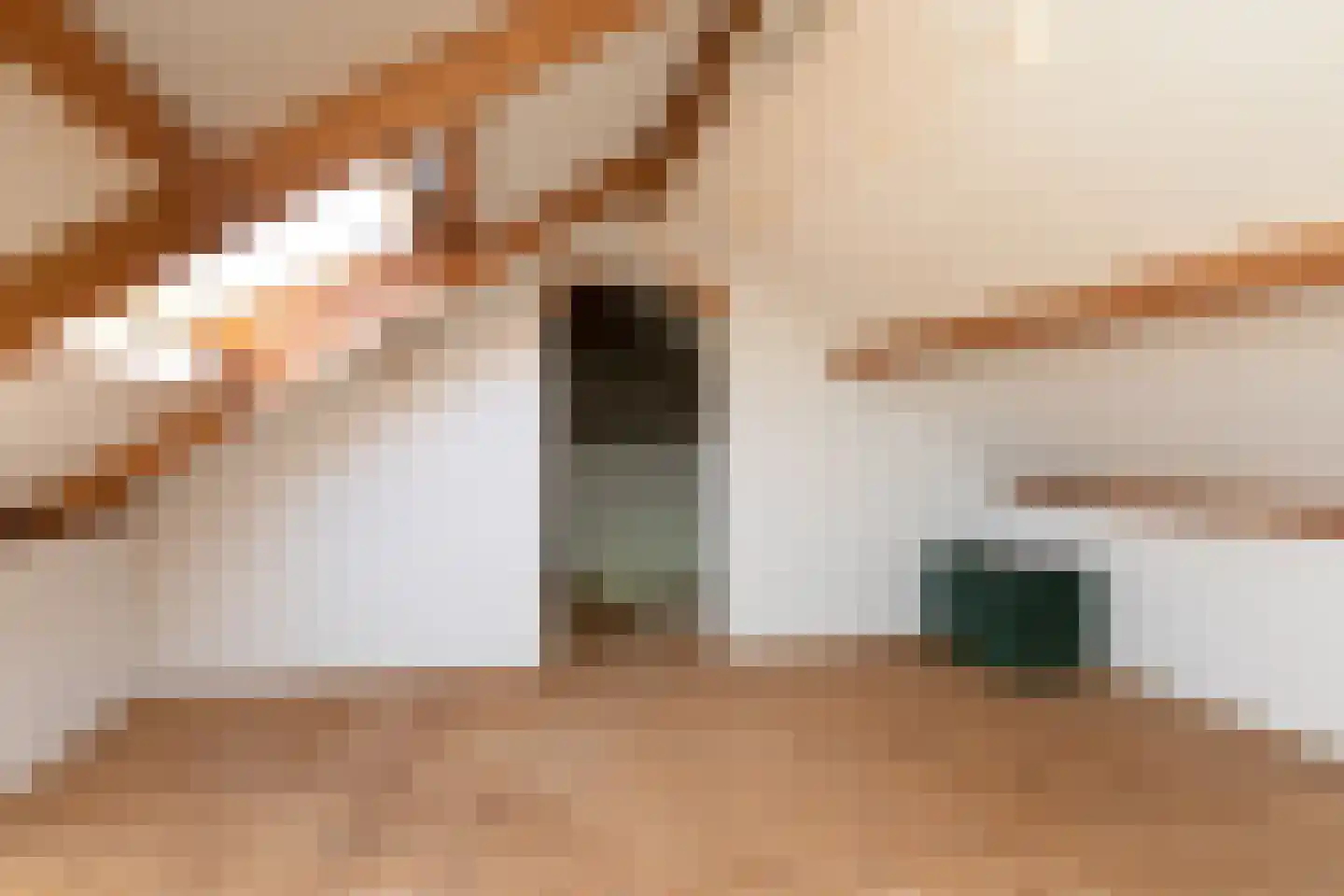Sytsingawiersterleane 33 Sneek thumbnail 32