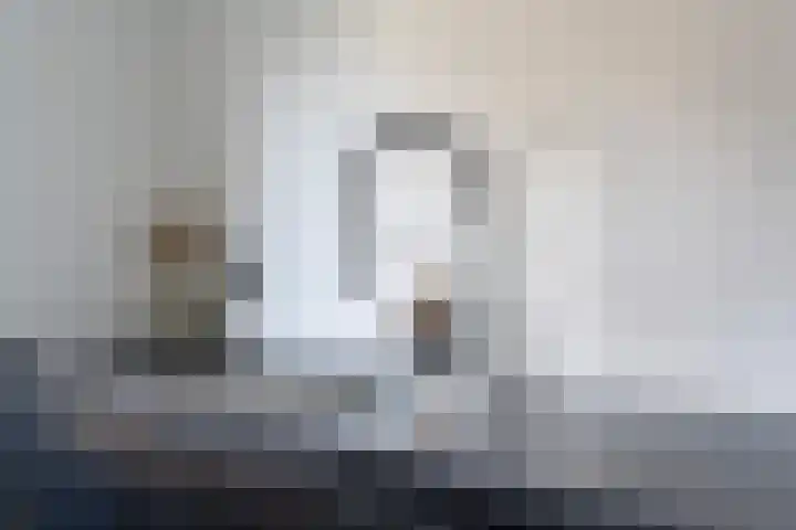Sytsingawiersterleane 9 Sneek thumbnail 18