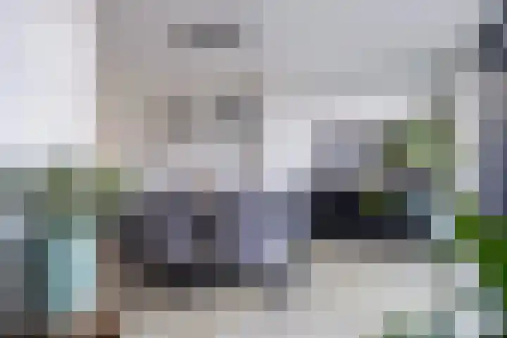 Sytsingawiersterleane 9 Sneek thumbnail 20